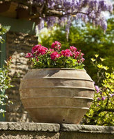 Photo of Campania Thea Planter - Antico Terra Cotta - Marquis Gardens